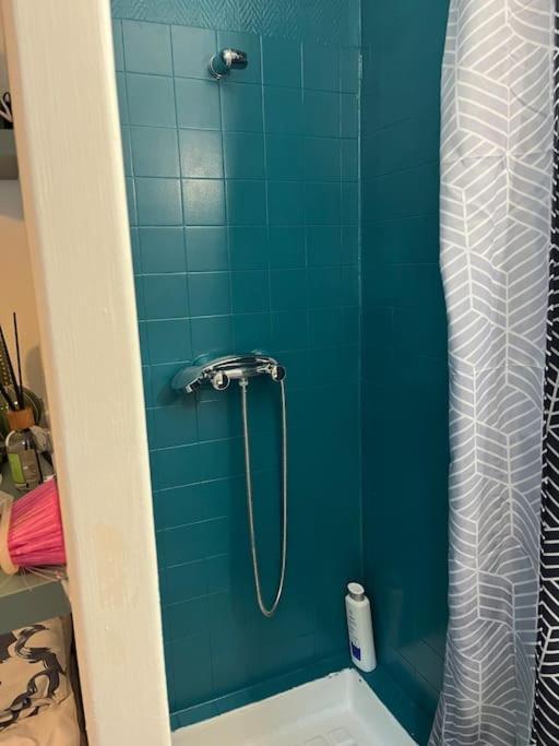 Petit Studio Cosy Apartment ออร์เลออง ภายนอก รูปภาพ